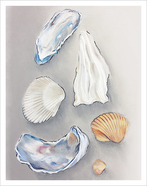 Greeting card with Shells pastel drawing