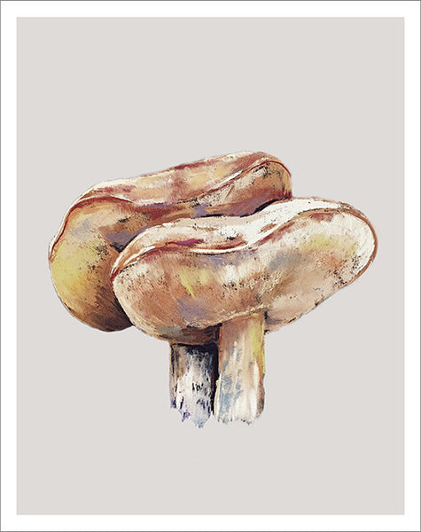 Greeting card with Mushrooms pastel drawing