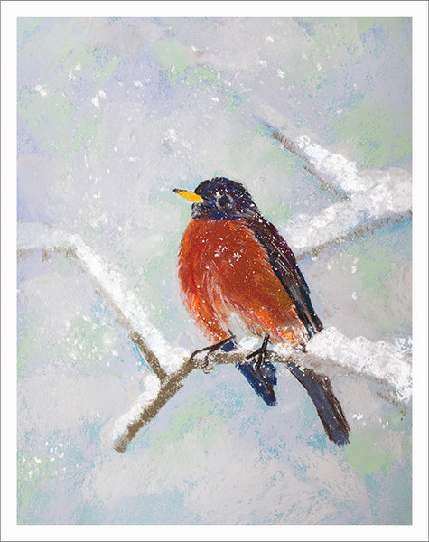 American robin greeting card with pastel drawing